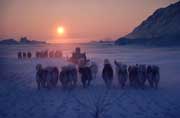 Inuit hunters & dog sleds travelling at sunset during a long polar bear hunt. Cape York. N.W. Greenland.