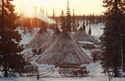 Sun rises behind reindeer skin tents at a winter camp of a group of Nenets herders. Yamal. Siberia.